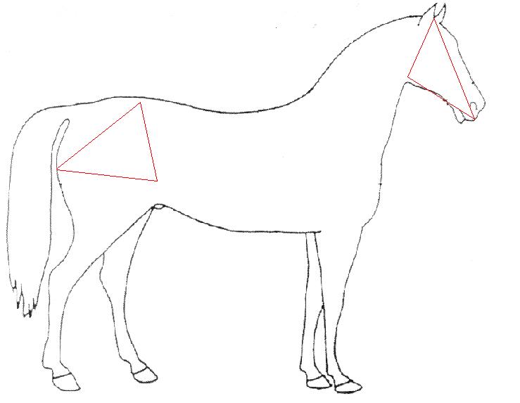 dibujozc3png-1.jpg