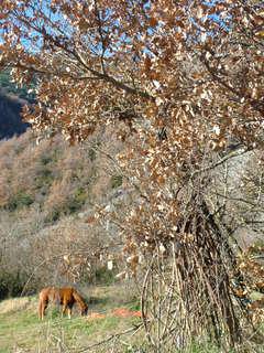 dscf3287zq8-1.jpg