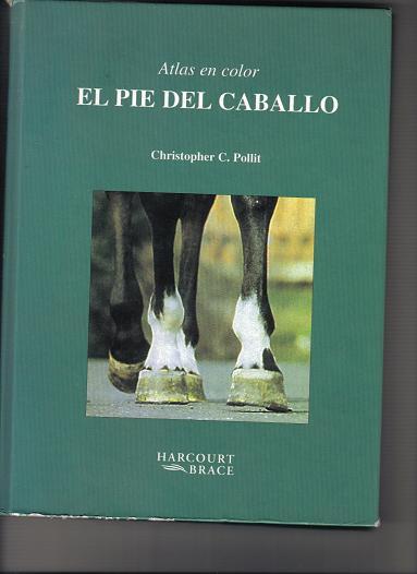libropollitgj9-1.jpg