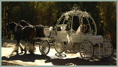 weddingcarriageterry1dx5-1.jpg
