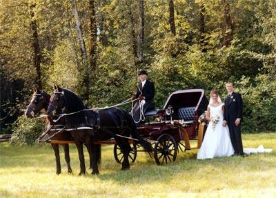 weddingoa1-1.jpg