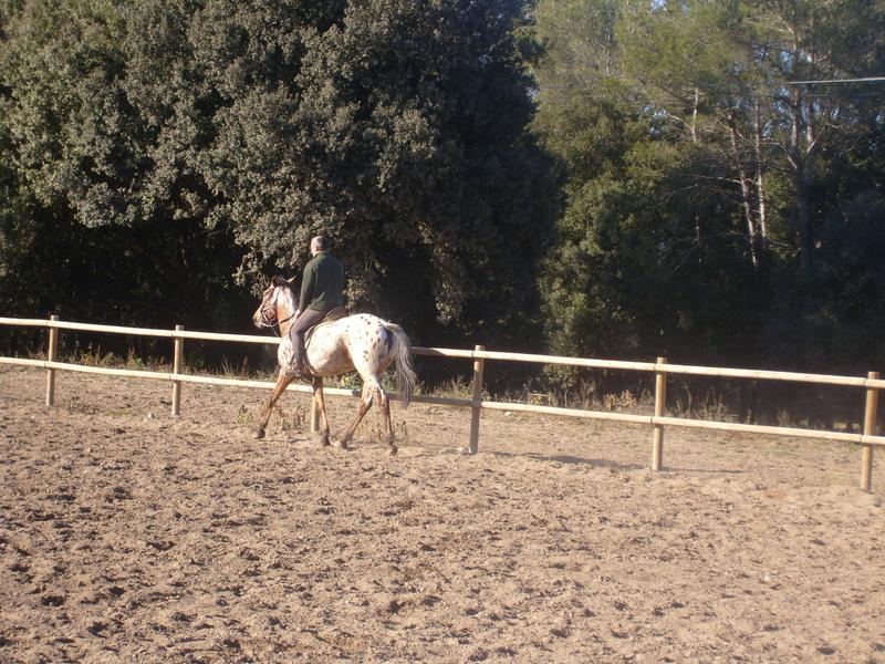 s7000149mx2-1.jpg