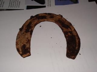 dsc00105gm9-1.jpg