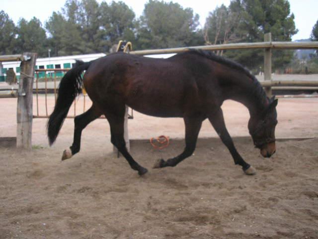 p2020040la8-1.jpg