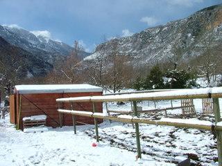 dscf3606ab5-1.jpg