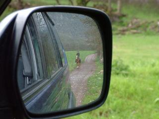 dscf3772jn6-1.jpg