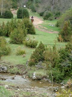 dscf3790jg9-1.jpg