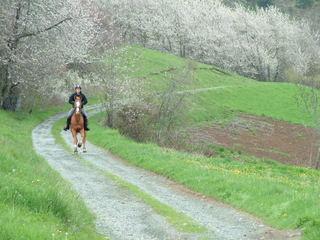 dscf3802rx7-1.jpg