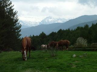 dscf3816qv3-1.jpg
