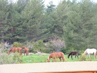 dscf3825ui4-1.jpg