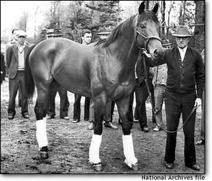 seabiscuit3cw0-1.jpg