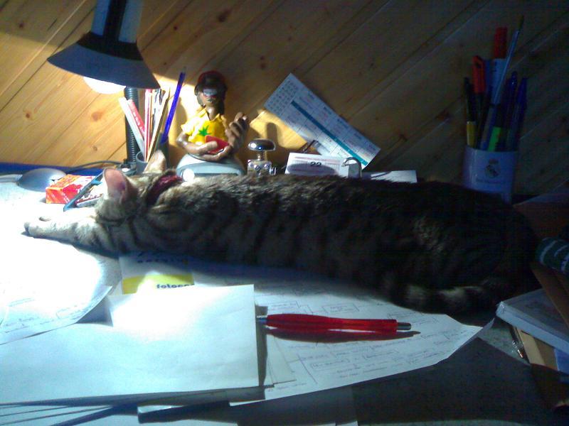 22022007374lq6-1.jpg