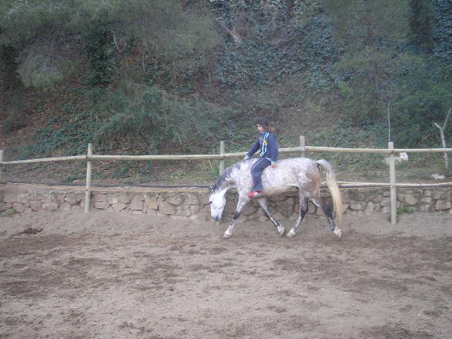 p2230127em9-1.jpg
