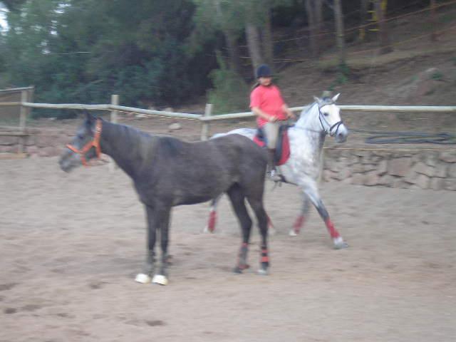 p5150054pu1-1.jpg