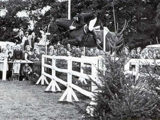 fenceannelidrummondhaycrd8-1.jpg