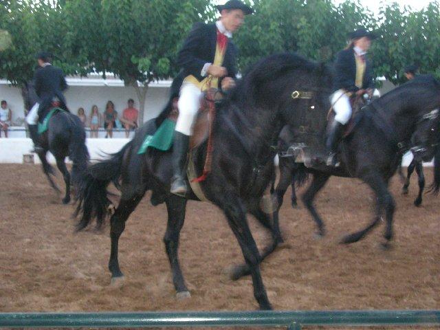 pica077aq2-1.jpg