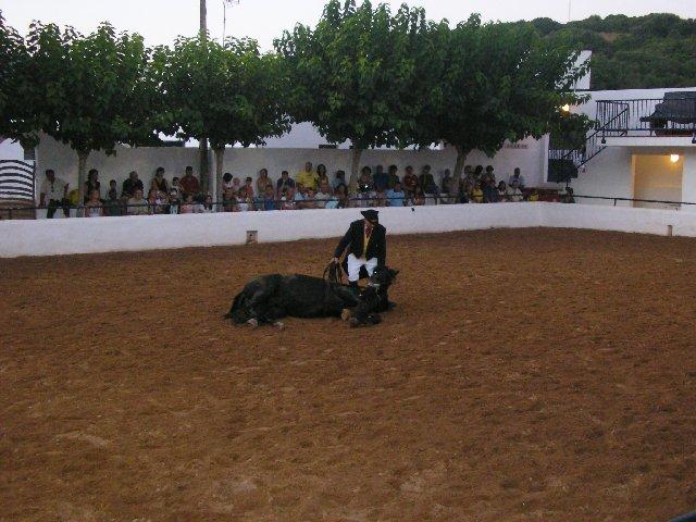 pica096yj4-1.jpg