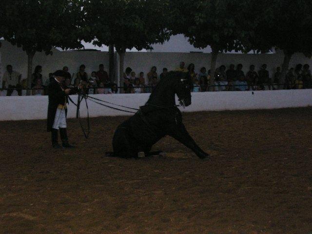 pica097on3-1.jpg