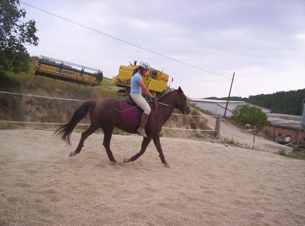 1000531el8-1.jpg