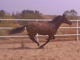 copiadepict0644kh2-1.jpg