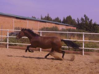 copiadepict0647tq6-1.jpg