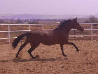 copiadepict0649zi5-1.jpg