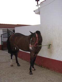 funcionaria003za9-1.jpg