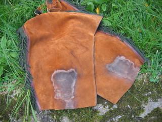 img0083lb3-1.jpg