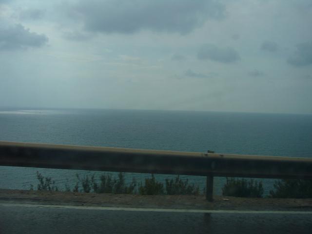 p1040558wh5-1.jpg