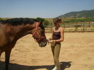 p7080054vs9-1.jpg