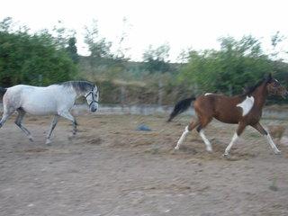 p9220095xi1-1.jpg