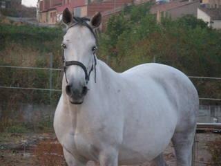 p9220111vr0-1.jpg