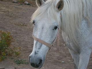 p9220127ul3-1.jpg