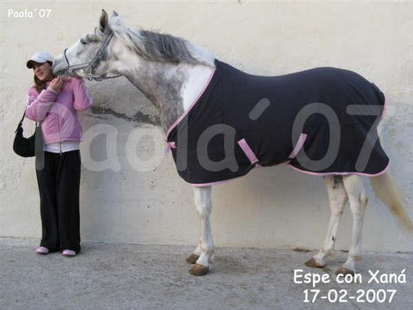 espe1se2-1.jpg