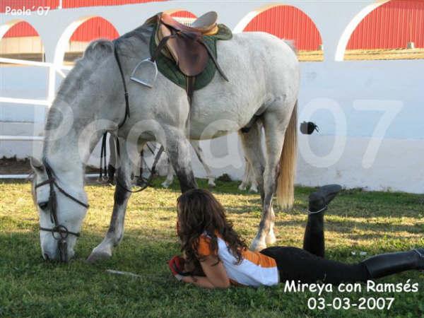 mireya6or5-1.jpg