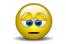 msn78ld3gif-1.jpg