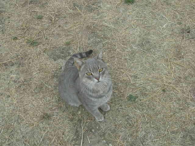 p9280055hh1-1.jpg