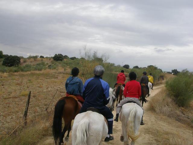 p9280085qq1-1.jpg