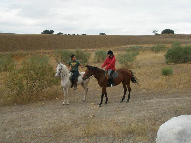 p9280144di6-1.jpg
