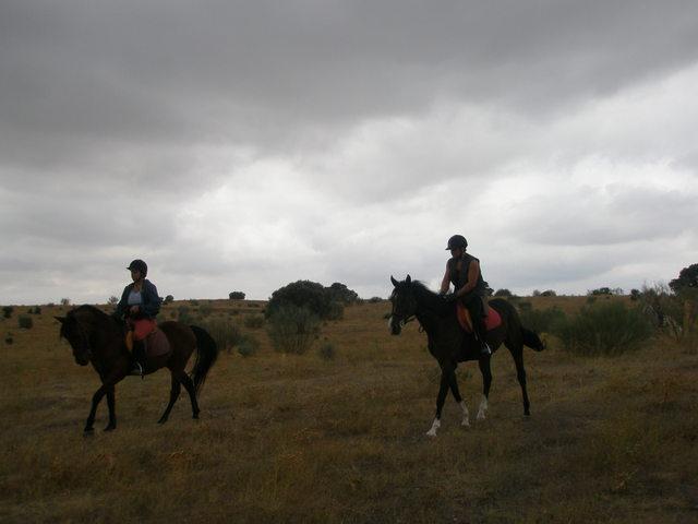 p9280175pt6-1.jpg