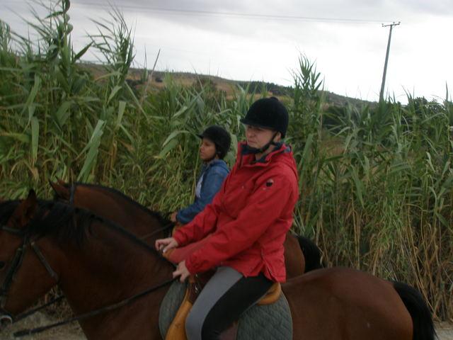 p9280195eo3-1.jpg