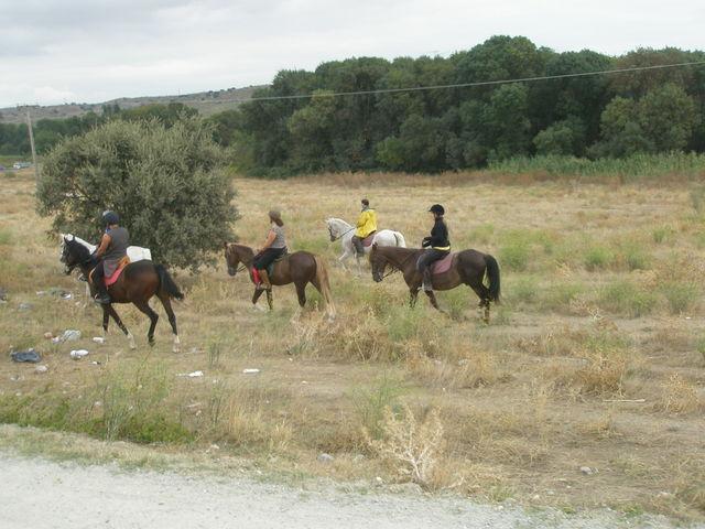 p9280200qh5-1.jpg