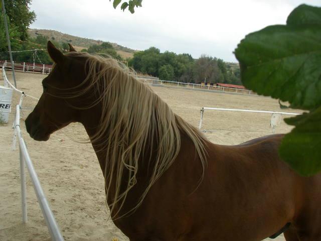 p9280252ai0-1.jpg