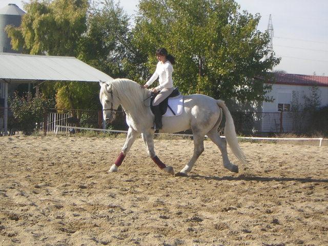 dscn5366vl6-1.jpg
