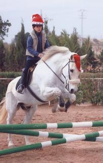 bonitoponypartydelvic60gx4-1.jpg
