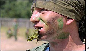_1472263_300frogap-1.jpg