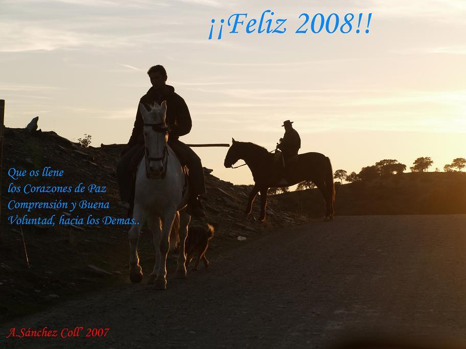 feliz2008ay3-1.jpg