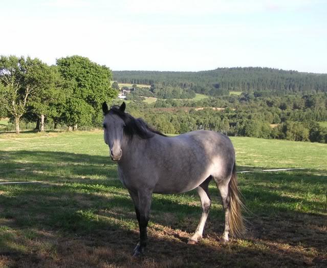 duquesastandingpretty-1.jpg