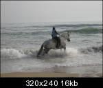 enlaplaya5ei1th-1.jpg