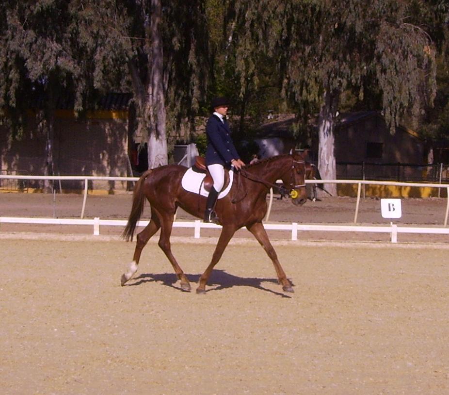 copiadepict2375yf8-1.jpg